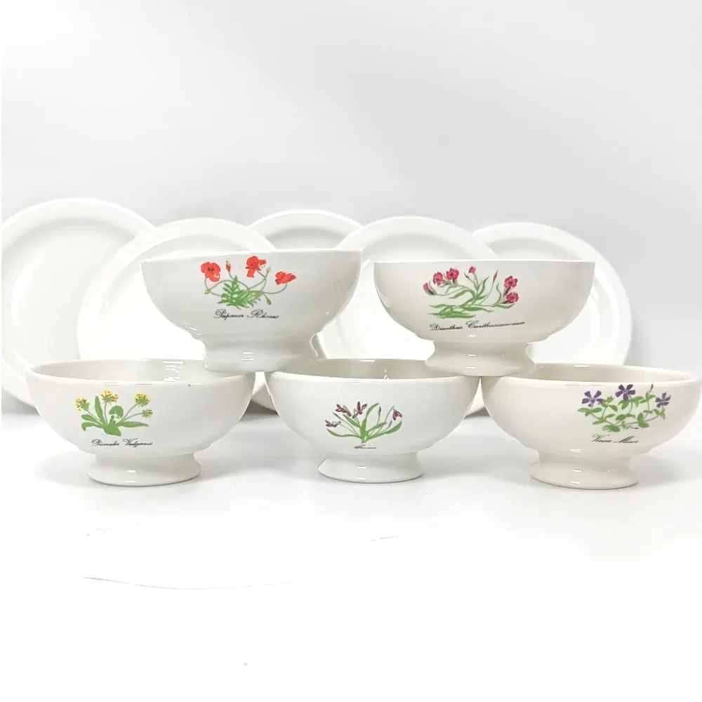 Ciotole Santucci Deruta con piattino - immagine 2