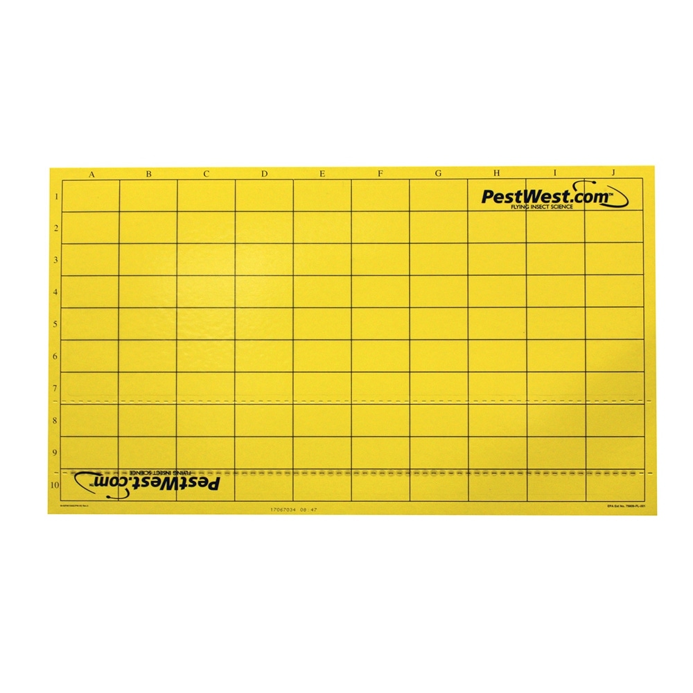 Piastra collante gialla Pestwest EFK-PW518